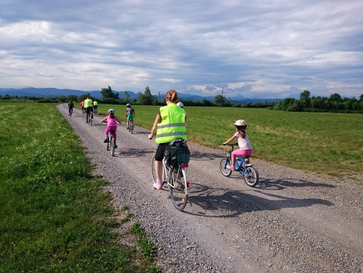 Posvet o potencialih in izzivih za razvoj kolesarstva na Ljubljanskem barju